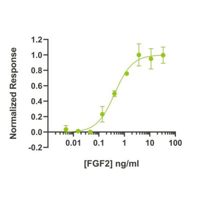 Zebrafish FGF2 activity is determined using the serum response element luciferase reporter assayin transfected HEK293T cells. Cells are treated in triplicate with a serial dilution of FGF2 for 6 hours. Firefly luciferase activity is measured and normalized to the control Renilla luciferase activity. EC50 = 0.42 ng/mL (24.7 pM).